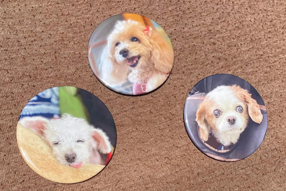 犬猫保護活動応援団体Peace Joint